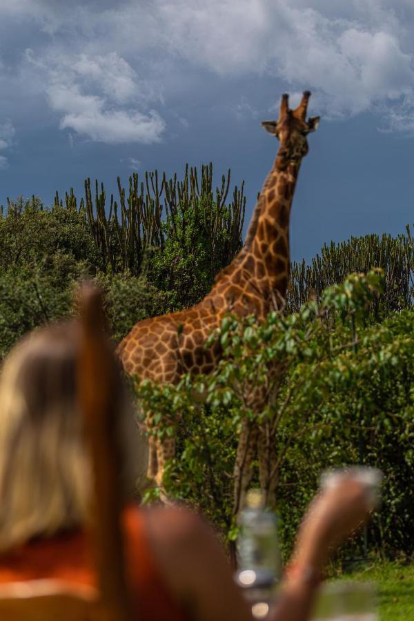 Mbweha Camp Lake Nakuru Elmenteita Экстерьер фото