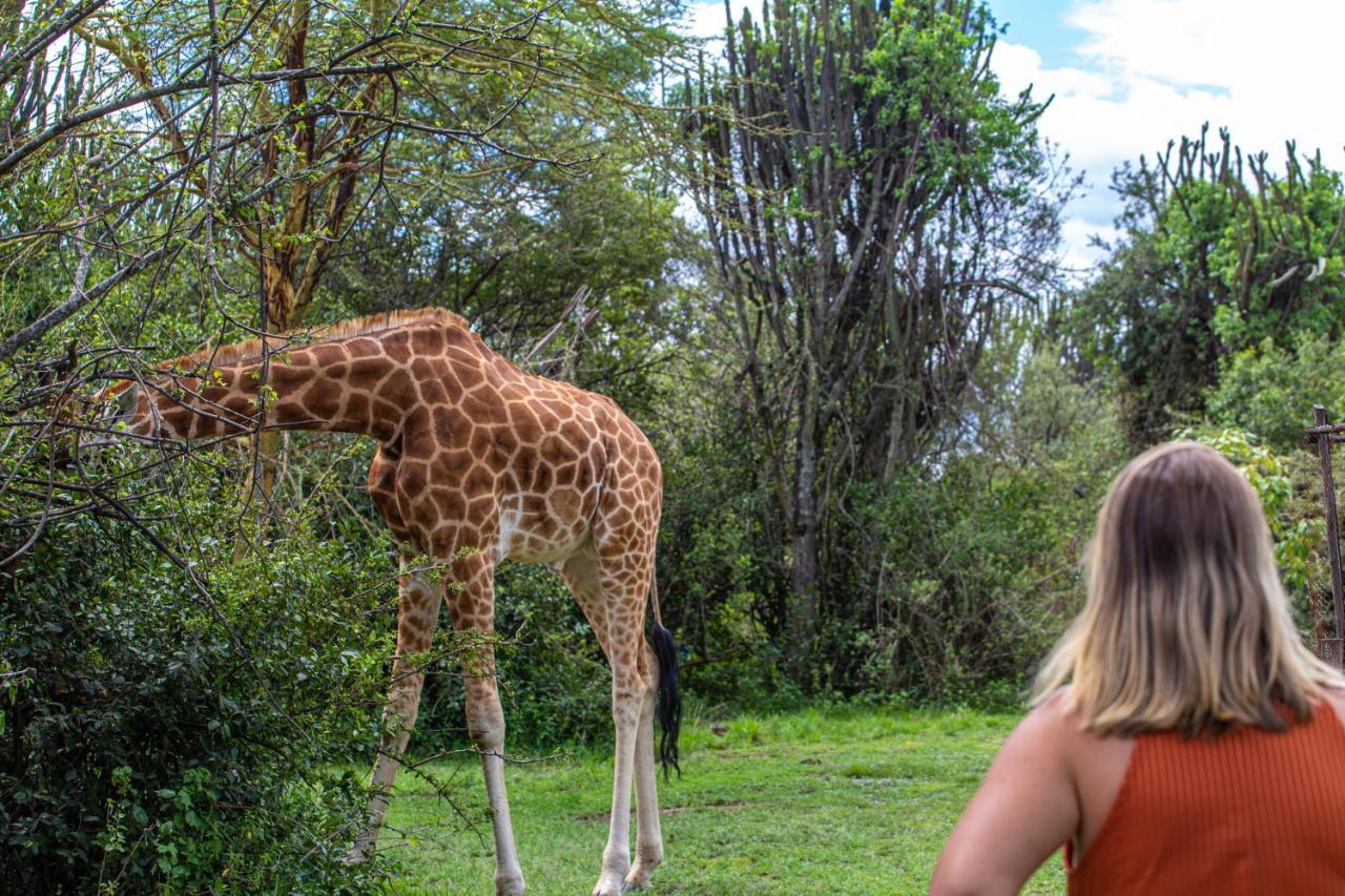 Mbweha Camp Lake Nakuru Elmenteita Экстерьер фото