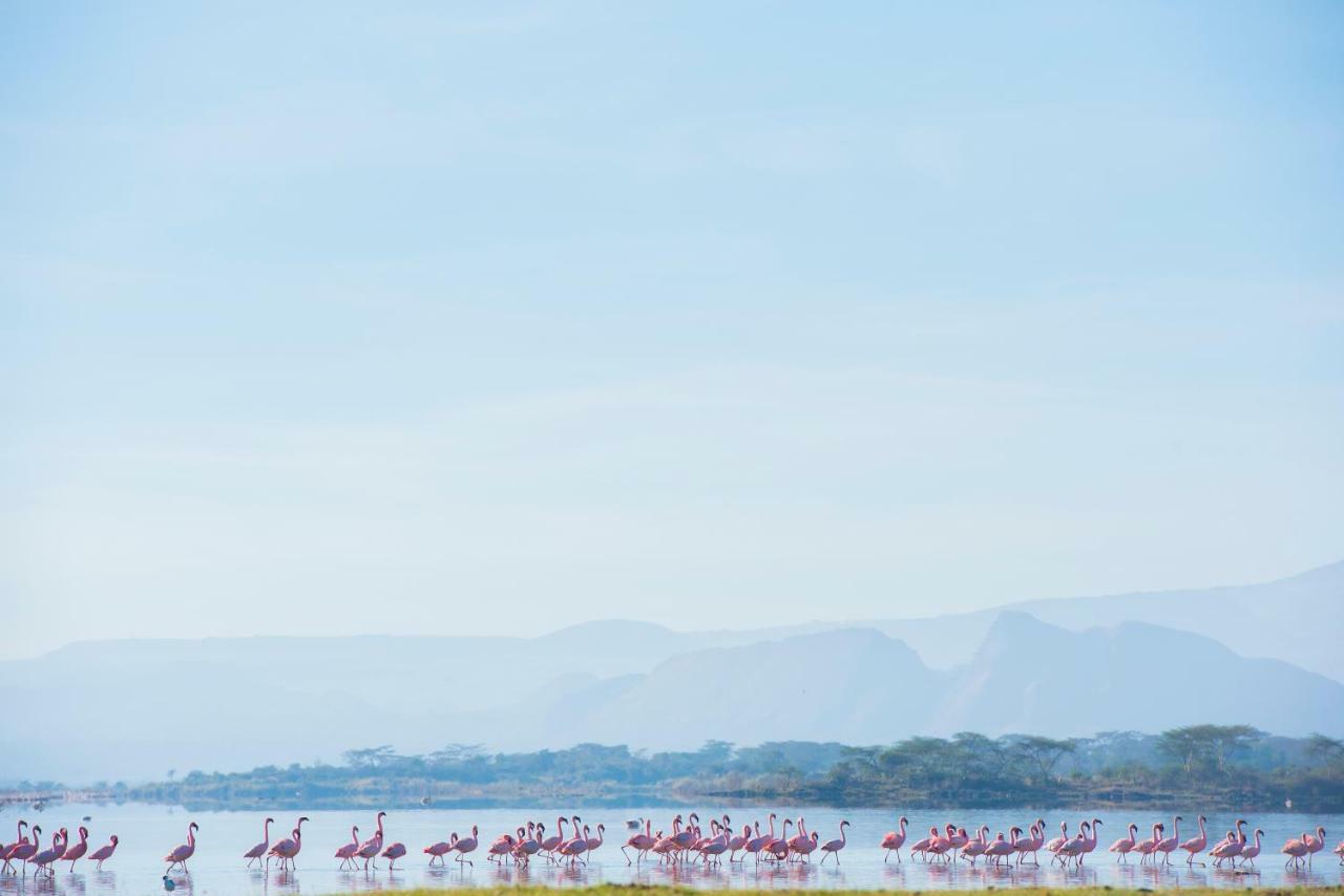 Mbweha Camp Lake Nakuru Elmenteita Экстерьер фото